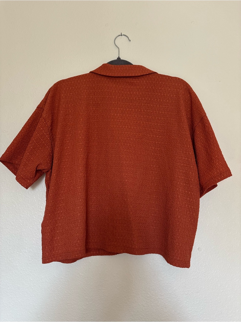 Madewell Rust Textured Short-Sleeve Button-Up - Picture 4 of 4
